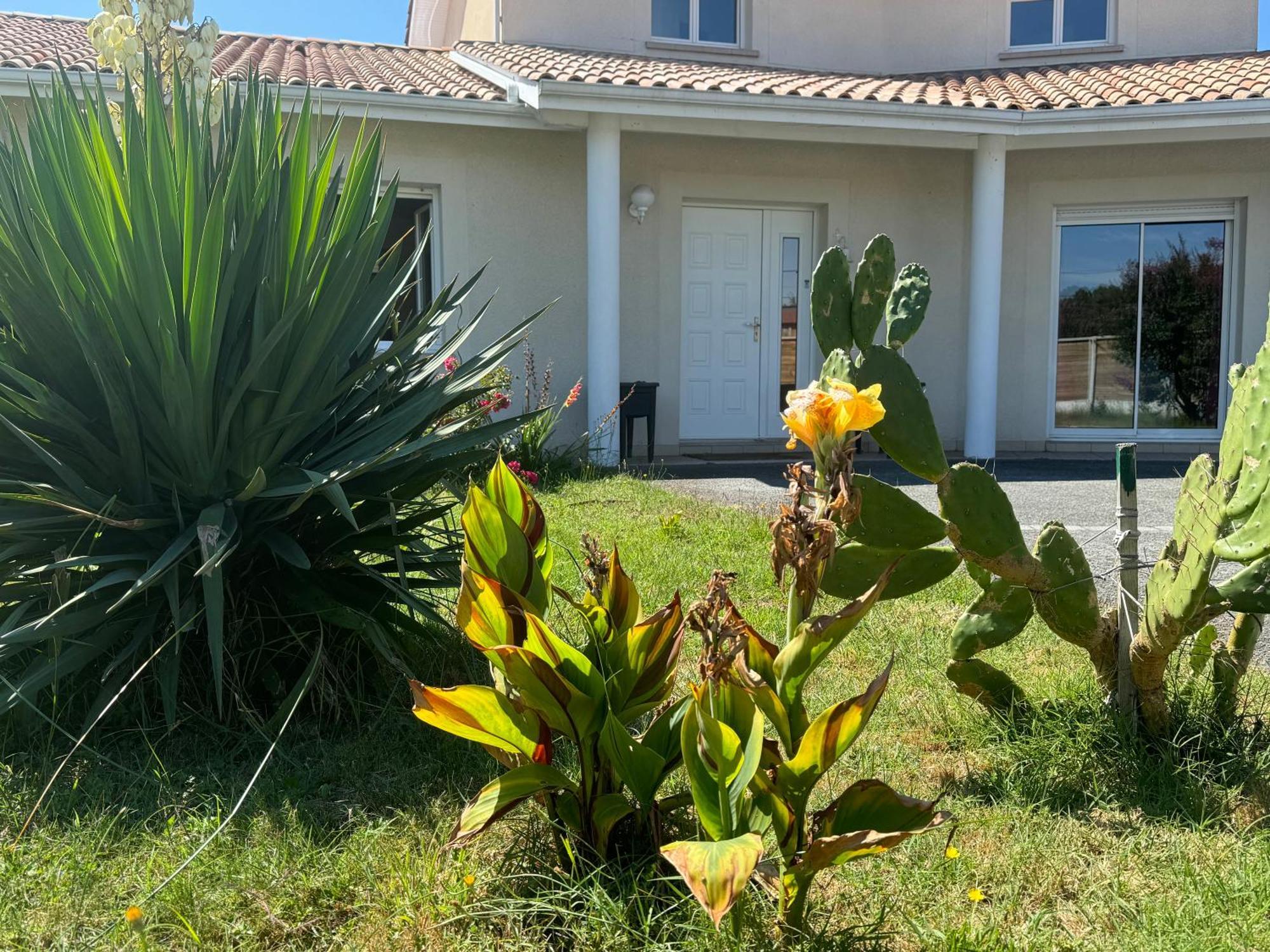 Ode Au Bassin Bed and Breakfast Mios Εξωτερικό φωτογραφία